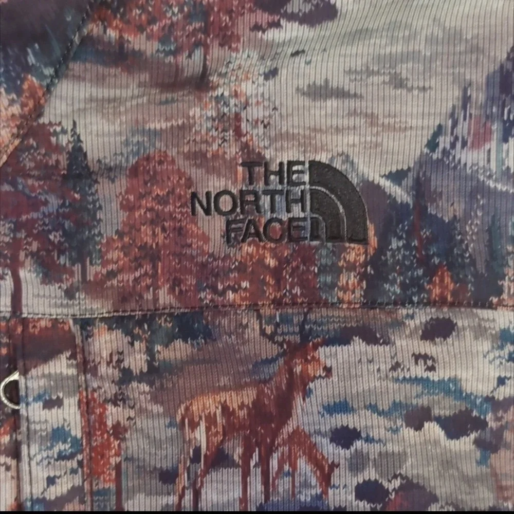 The North Face north face